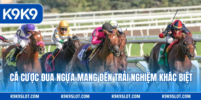 Cá cược đua ngựa mang đến trải nghiệm khác biệt