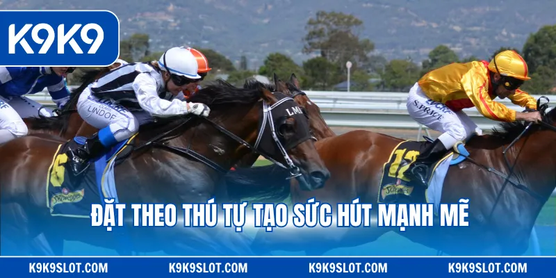 Đặt theo thú tự tạo sức hút mạnh mẽ